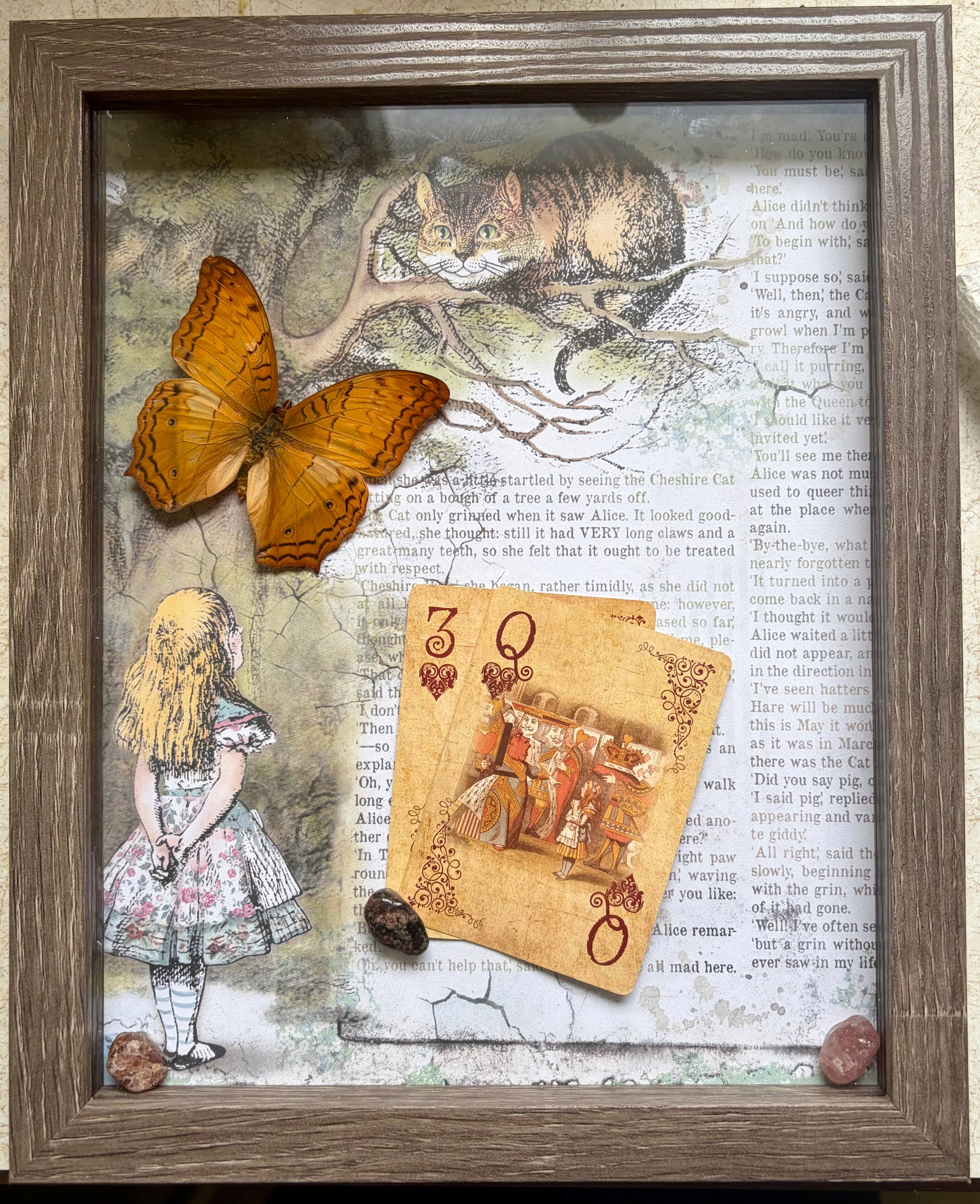 Alice in Wonderland Collection