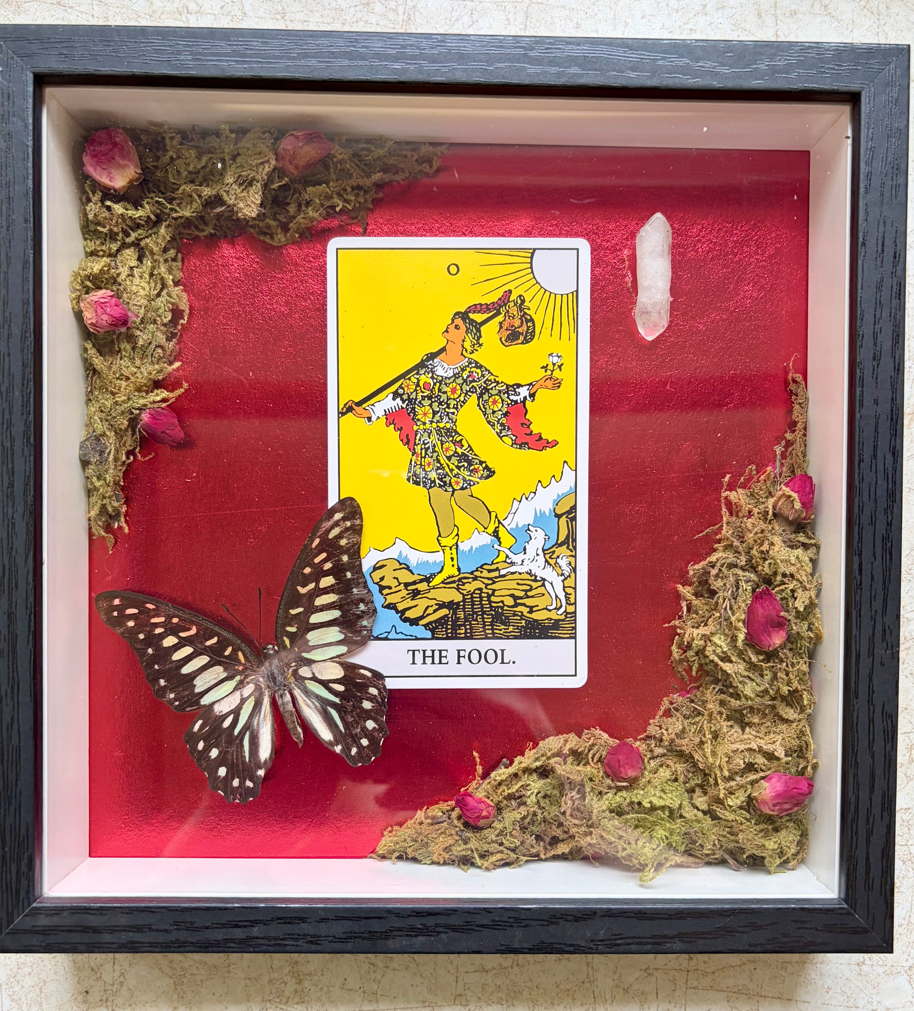 Tarot Card Collection