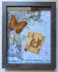 Capturing Wonderland