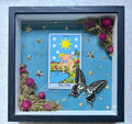 The Star